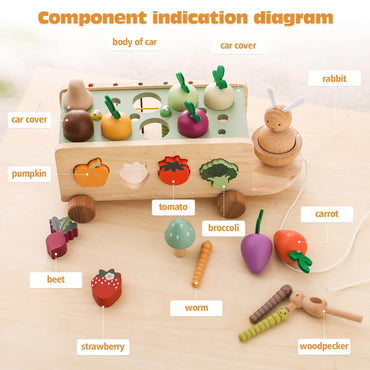 Montessori carrot harvest toy with wooden cart and removable carrots for shape matching.