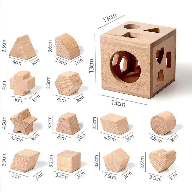 Beech Wood Geometric Blocks - Cognitive Development Toys montessori